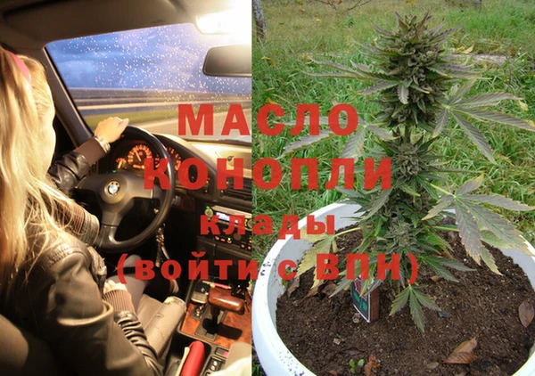 индика Сафоново