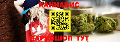 ECSTASY Гудермес