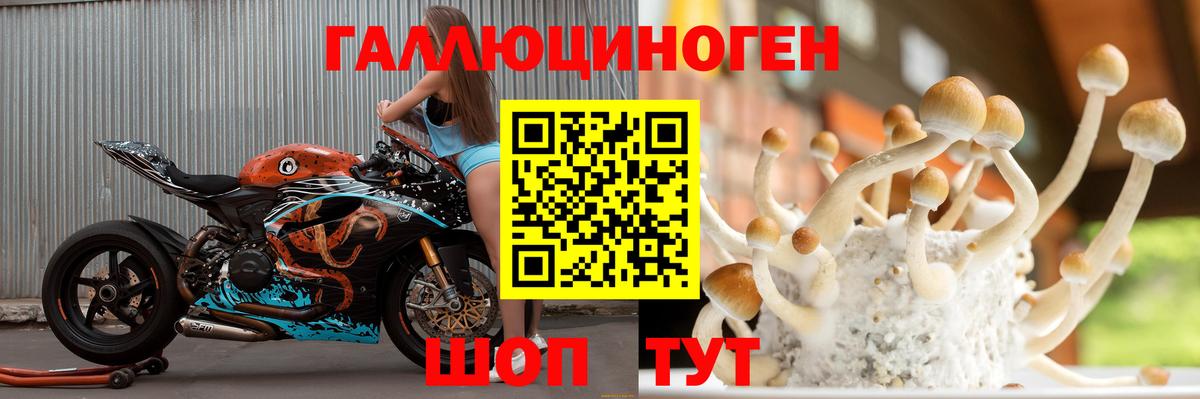 Заинск  Псилоцибиновые грибы Magic Shrooms  Вход с VPN 